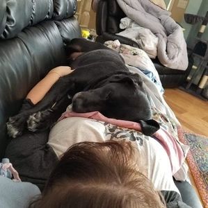 Meet your Posher, Adelia